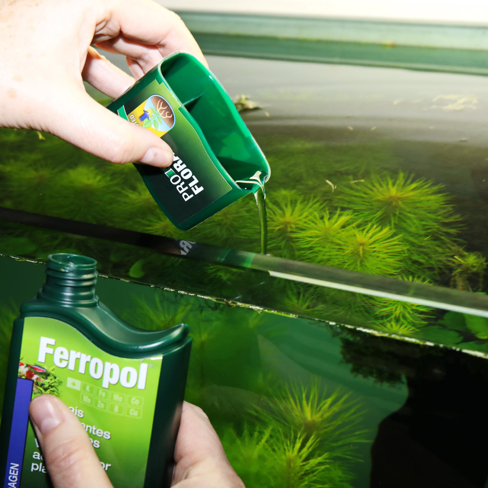 JBL PROFLORA FERROPOL – Ansicht 3