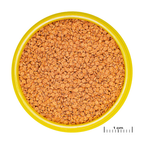 JBL PRONOVO BETTA GRANO S – Ansicht 2