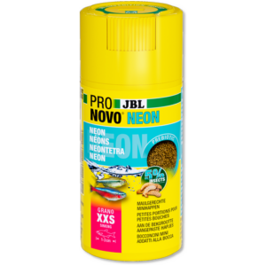 JBL PRONOVO NEON GRANO XXS