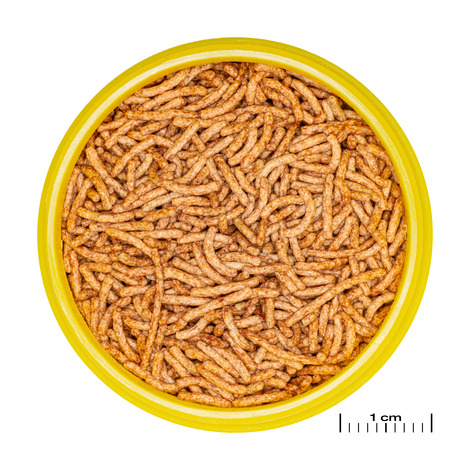 JBL PRONOVO RED INSECT STICK S – Ansicht 2