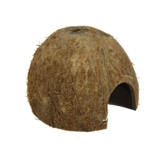 JBL COCOS CAVA M