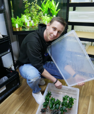 Julian Wörmann, Inhaber von aquaplant-shop.business, mit Aquarienpflanzen