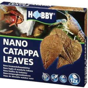 Hobby Nano Catappa Leaves