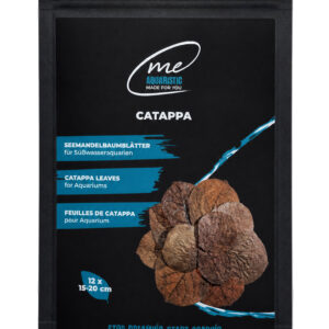 Me Catappa, 12x 15-20 cm Seemandelbaumblätter