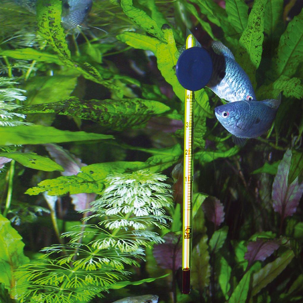 JBL Aquarium Thermometer Slim – Ansicht 4