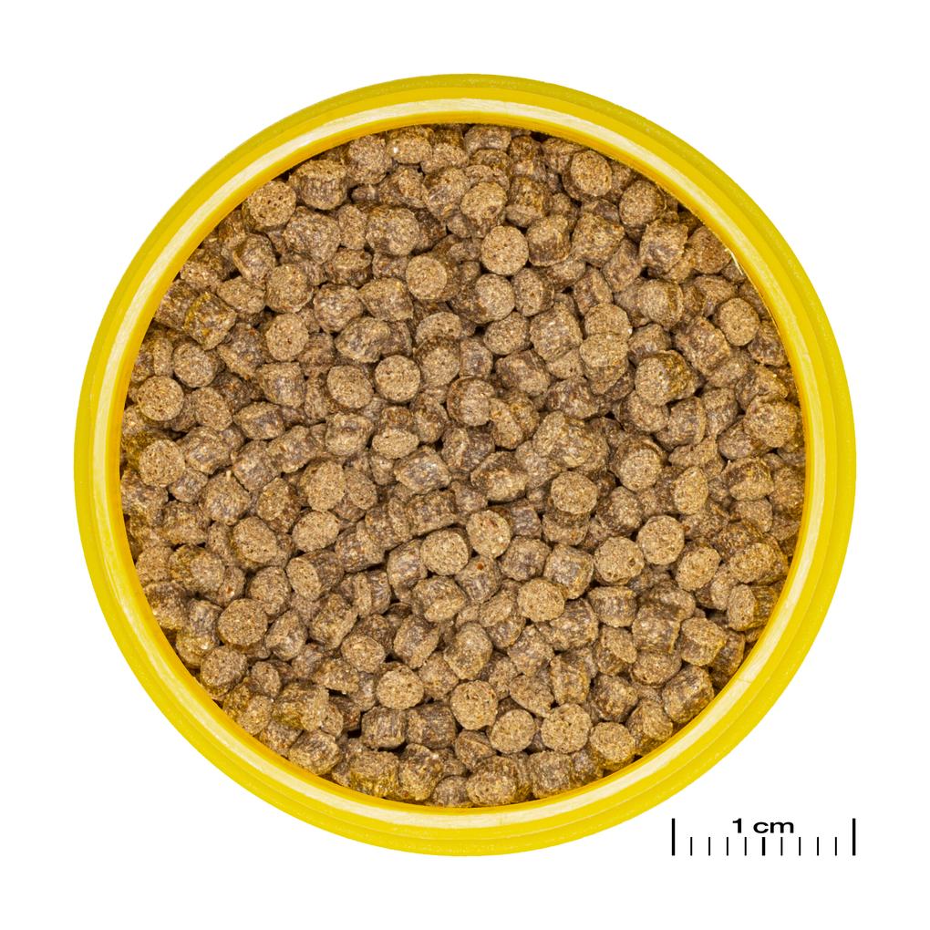 JBL PRONOVO FANTAIL GRANO M 250ml – Ansicht 2