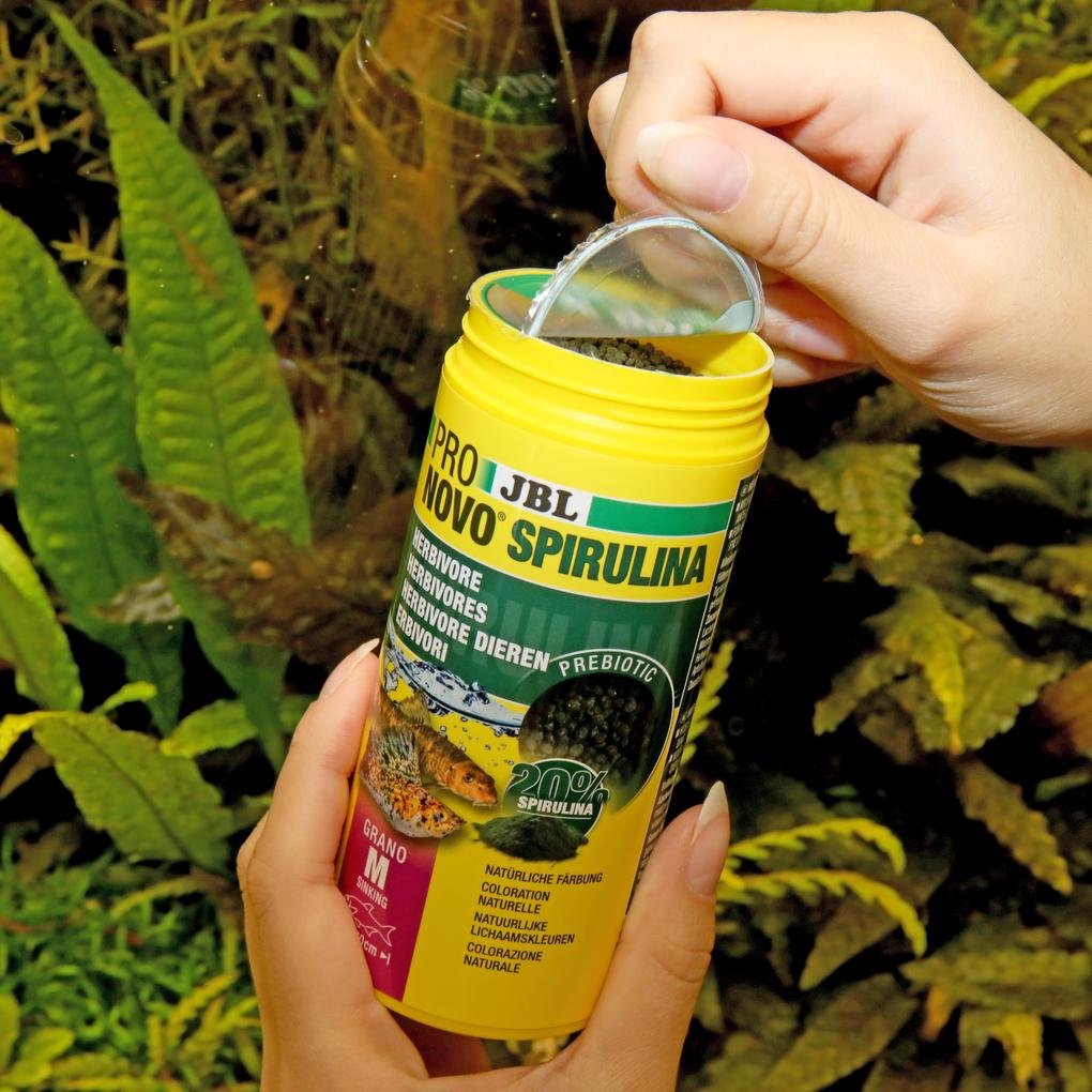 JBL PRONOVO SPIRULINA GRANO M 250ml – Ansicht 2