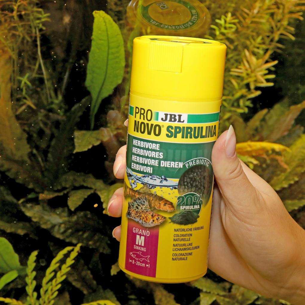 JBL PRONOVO SPIRULINA GRANO M 250ml – Ansicht 4