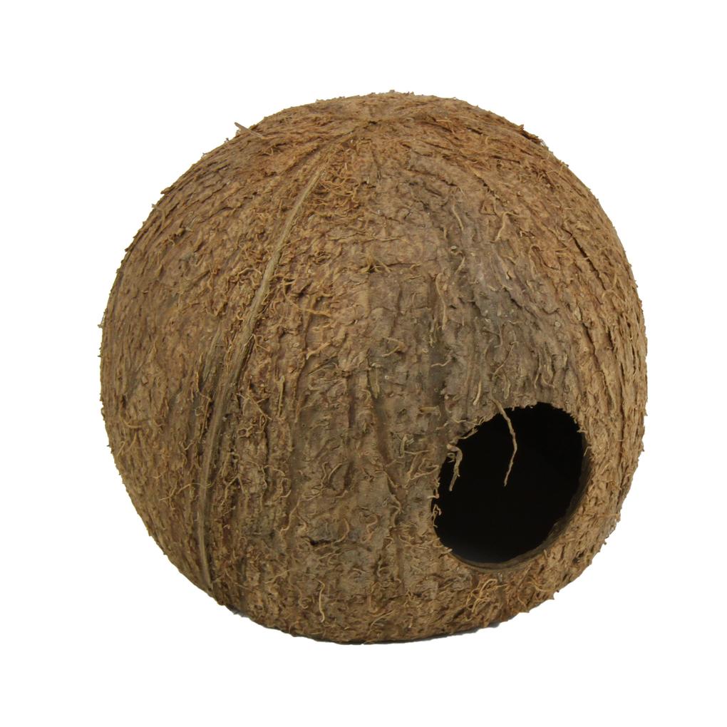 JBL Cocos Cava 3/4 L – Ansicht 4