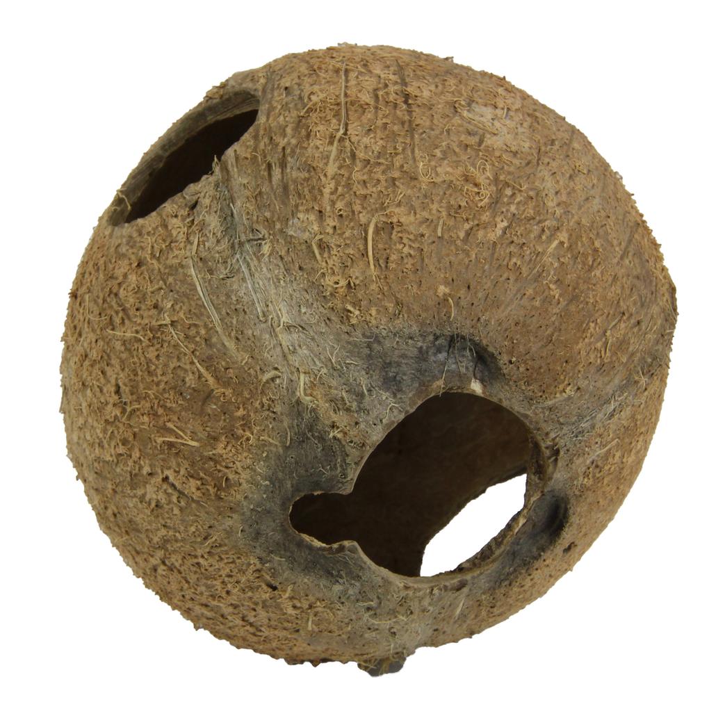 JBL Cocos Cava 3/4 L – Ansicht 5