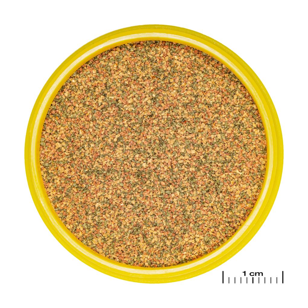 JBL PRONOVO BEL GRANO XXS 100ml – Ansicht 2