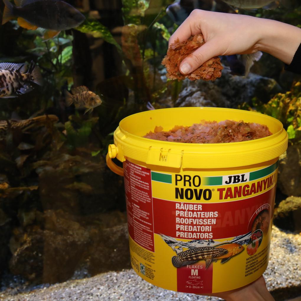 JBL PRONOVO TANGANYIKA FLAKES M 1000ml – Ansicht 5