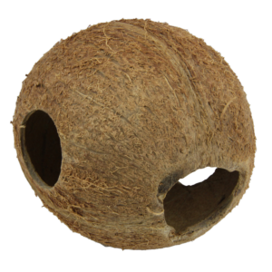 JBL Cocos Cava 1/1M