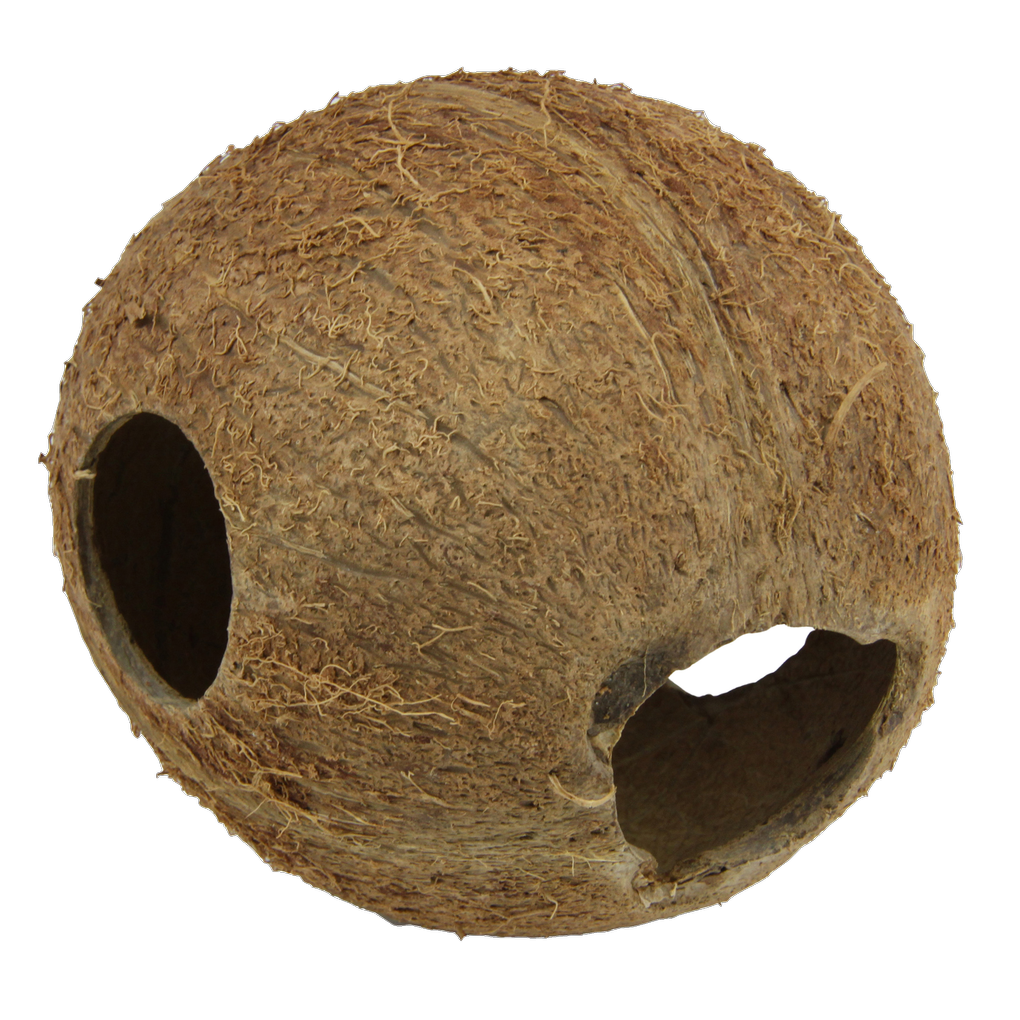 JBL Cocos Cava 1/1M
