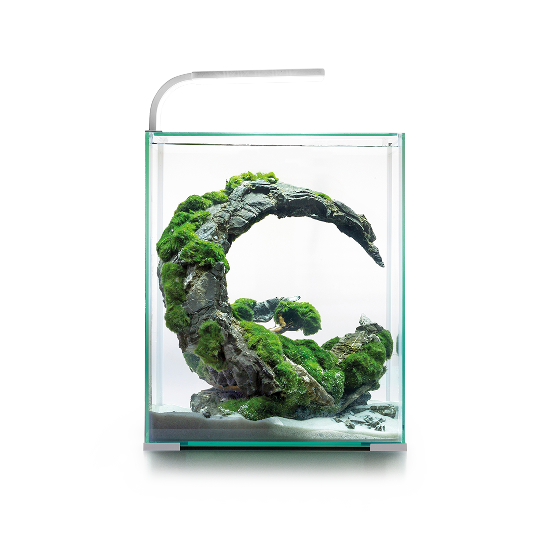 Aquael Shrimp Set Day & Night 30 L weiß