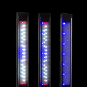 Aquael LEDDY SLIM DUO 16 W SUNNY PLANT&NIGHT 2.0 (40-60 cm) weiß