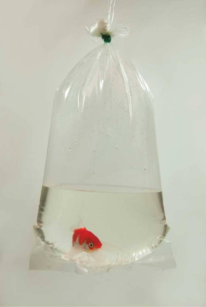 Happet Fischtransportbeutel 16x40 cm 100 Stück