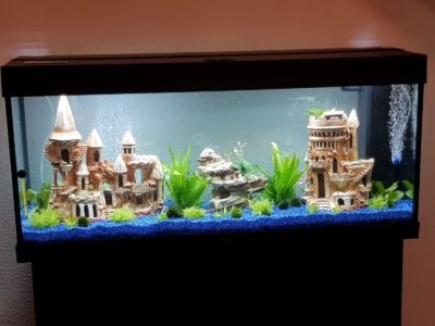 Kundenaquarium mit Pflanzen von aquaplant-shop.business