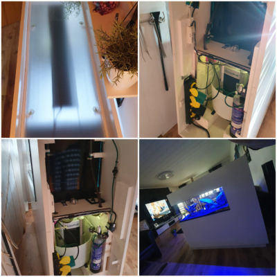 Kundenaquarium mit Pflanzen von aquaplant-shop.business
